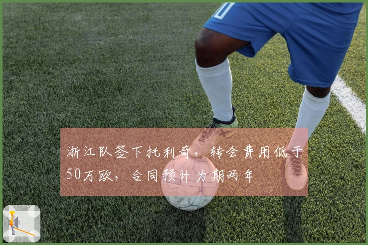 浙江队签下托利奇，转会费用低于50万欧，合同预计为期两年