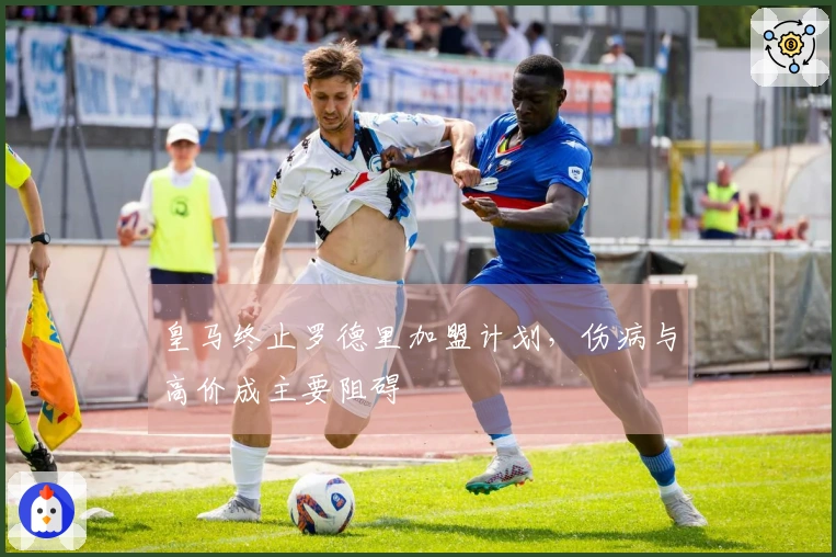 皇马终止罗德里加盟计划，伤病与高价成主要阻碍